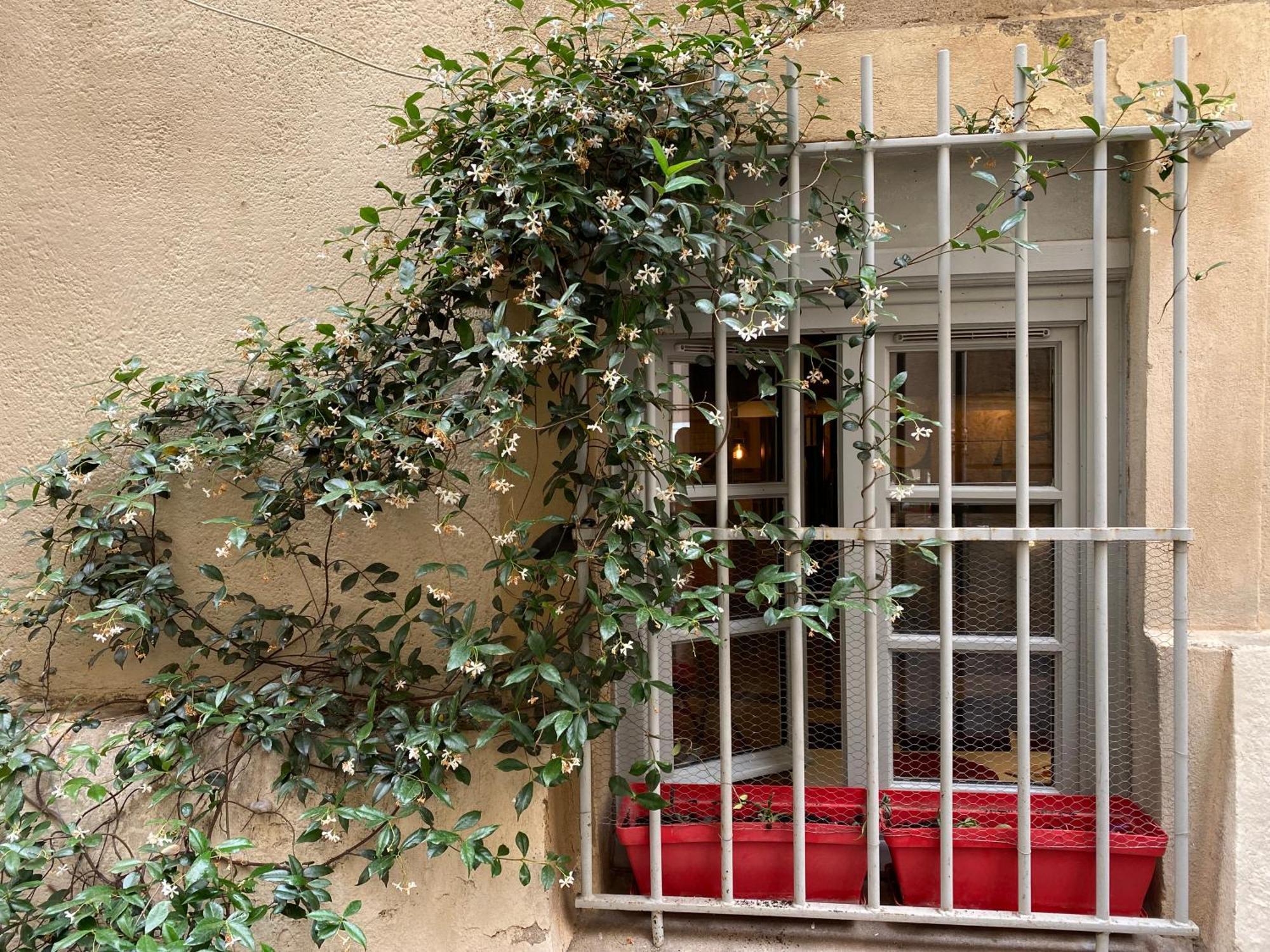 Charmant Studio Ecusson Centre Historique Apartman Montpellier Kültér fotó